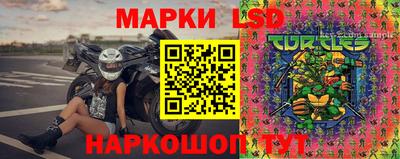 ГАЛЛЮЦИНОГЕННЫЕ ГРИБЫ Новозыбков