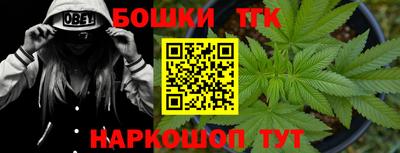 индика Нарткала
